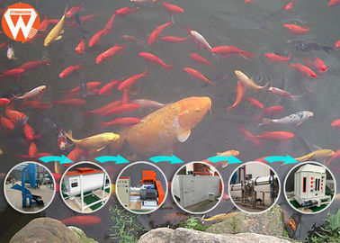 मेष बेल्ट मछली फ़ीड प्रसंस्करण मशीन, 65 किलोवाट मछली खाद्य विनिर्माण प्रक्रिया